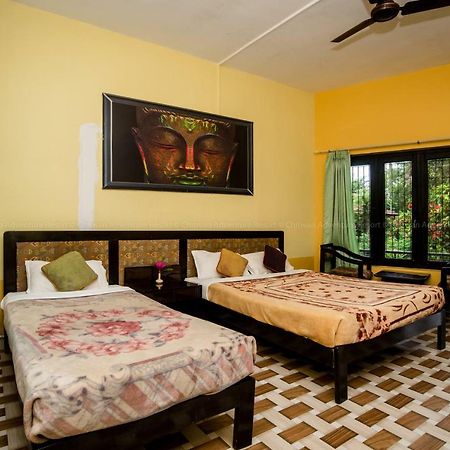 Chitwan Adventure Resort Sauraha Dış mekan fotoğraf
