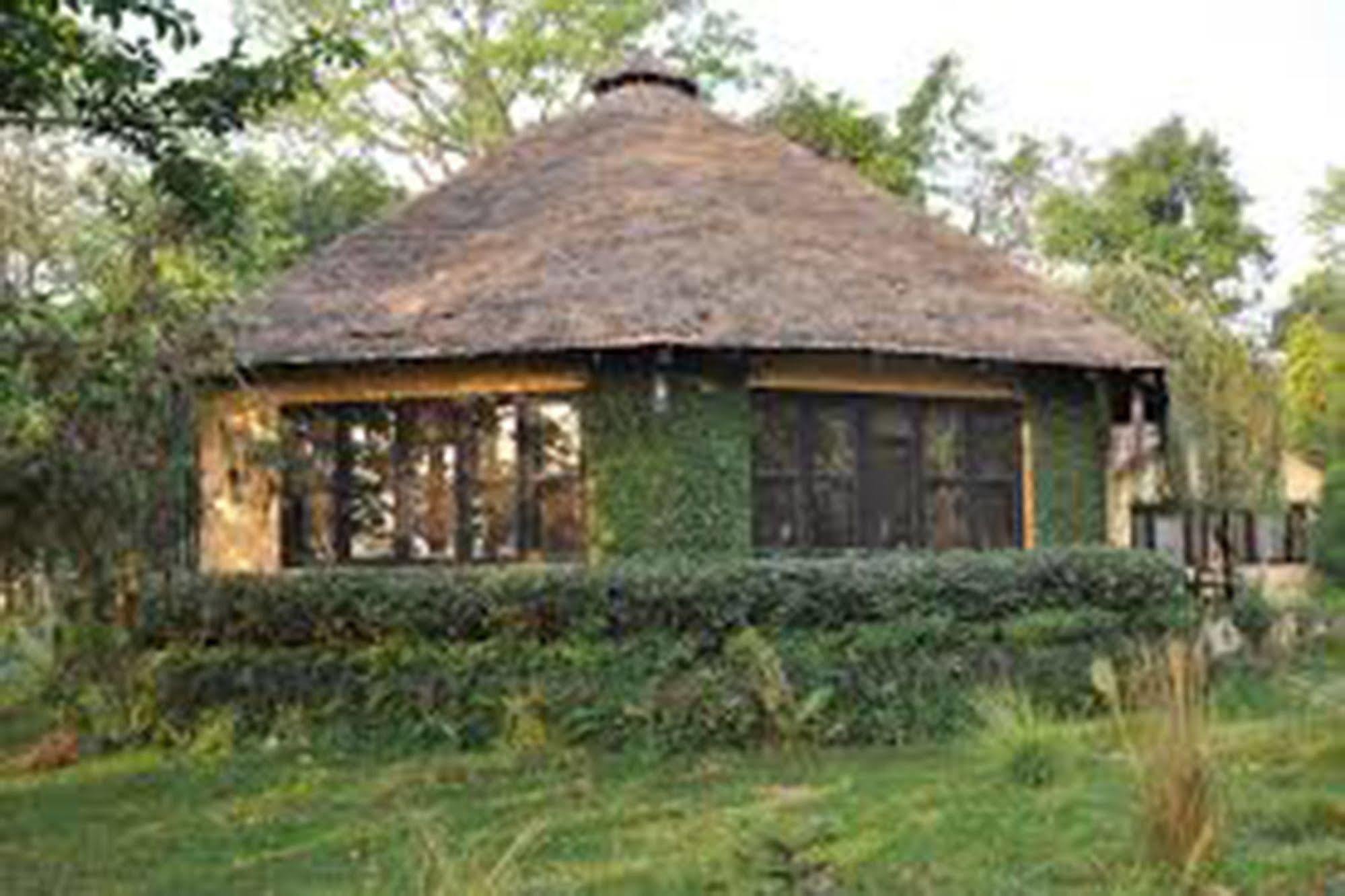 Chitwan Adventure Resort Sauraha Dış mekan fotoğraf