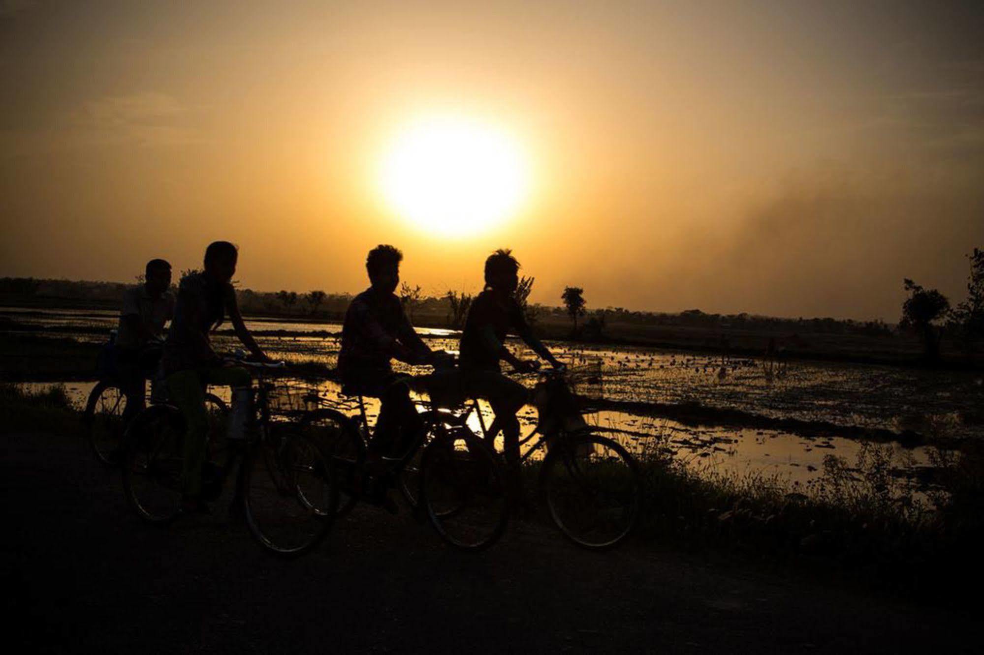 Chitwan Adventure Resort Sauraha Dış mekan fotoğraf