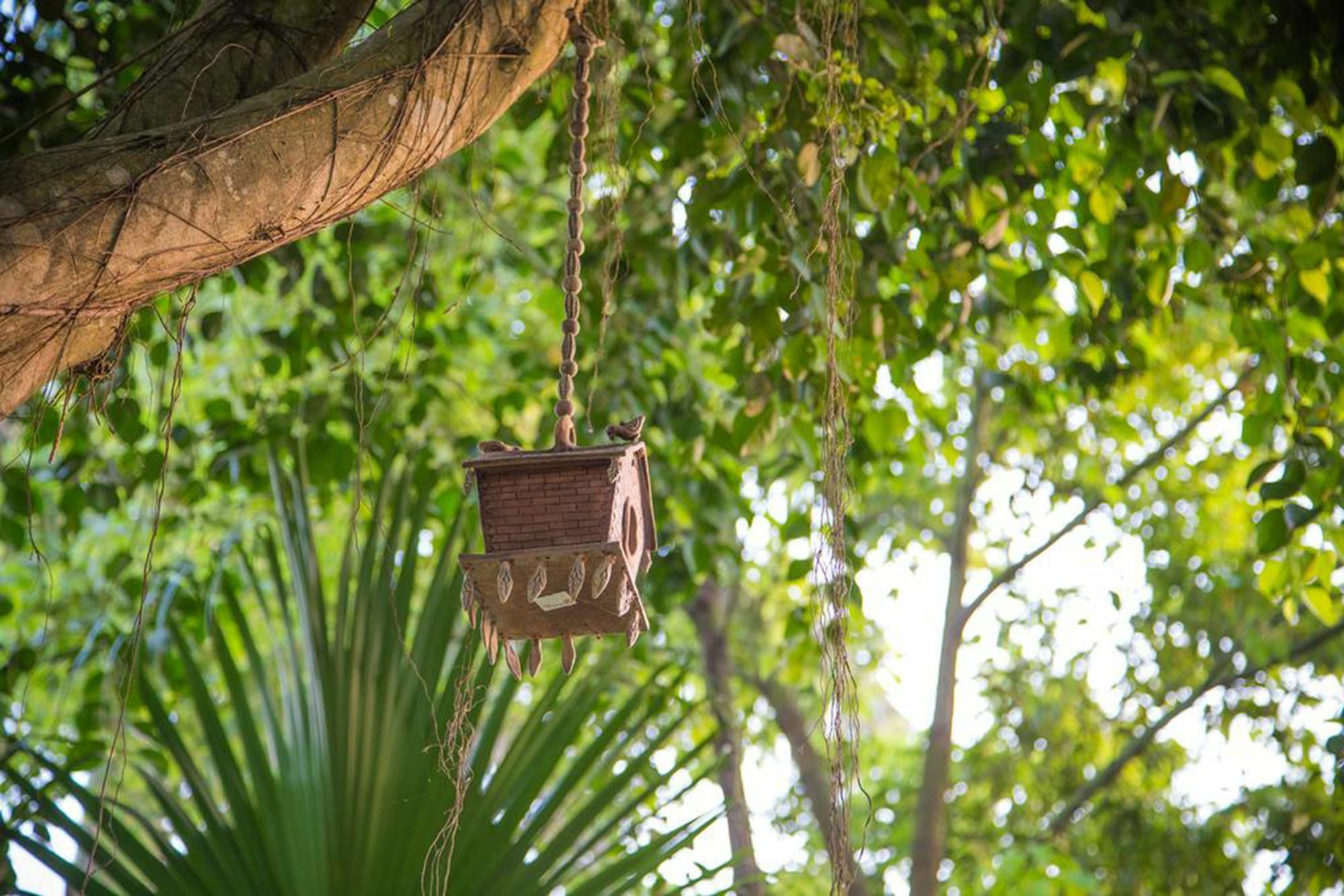 Chitwan Adventure Resort Sauraha Dış mekan fotoğraf